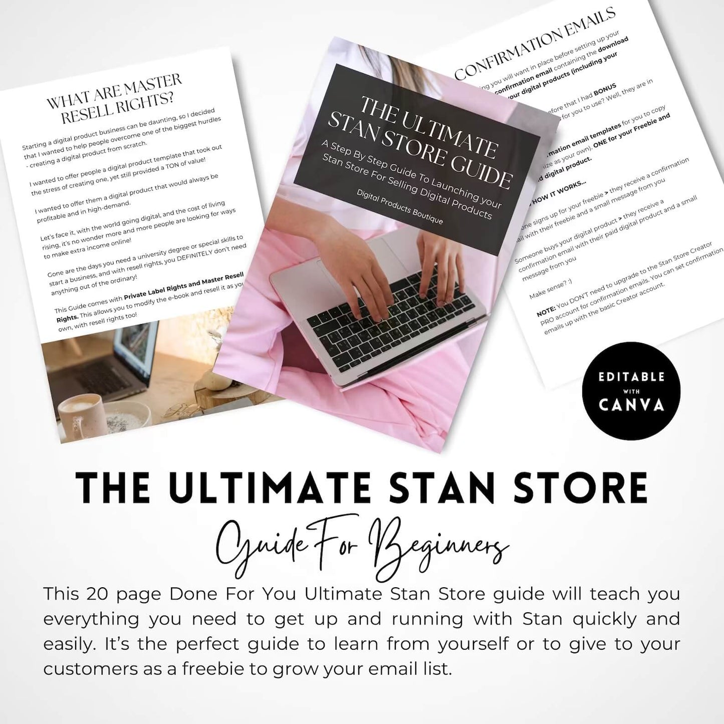 The Ultimate Stan Store Guide with Master Resell Right and Private Label Rights | DFY Digital Marketing Product