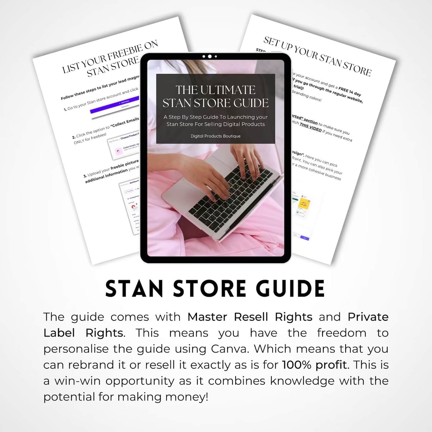 The Ultimate Stan Store Guide with Master Resell Right and Private Label Rights | DFY Digital Marketing Product